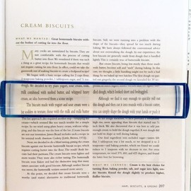 Electro-Optix Inc. Bar Magnifier 8 Inch 2.5x Domed Bar Magnifier for Reading Newspapers & Books