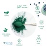 Alga Espirulina Polvo 2 Kilogramo Pura