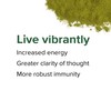Vibrant Health, Green Vibrance, Vegan Superfood Powder, 83 Servings