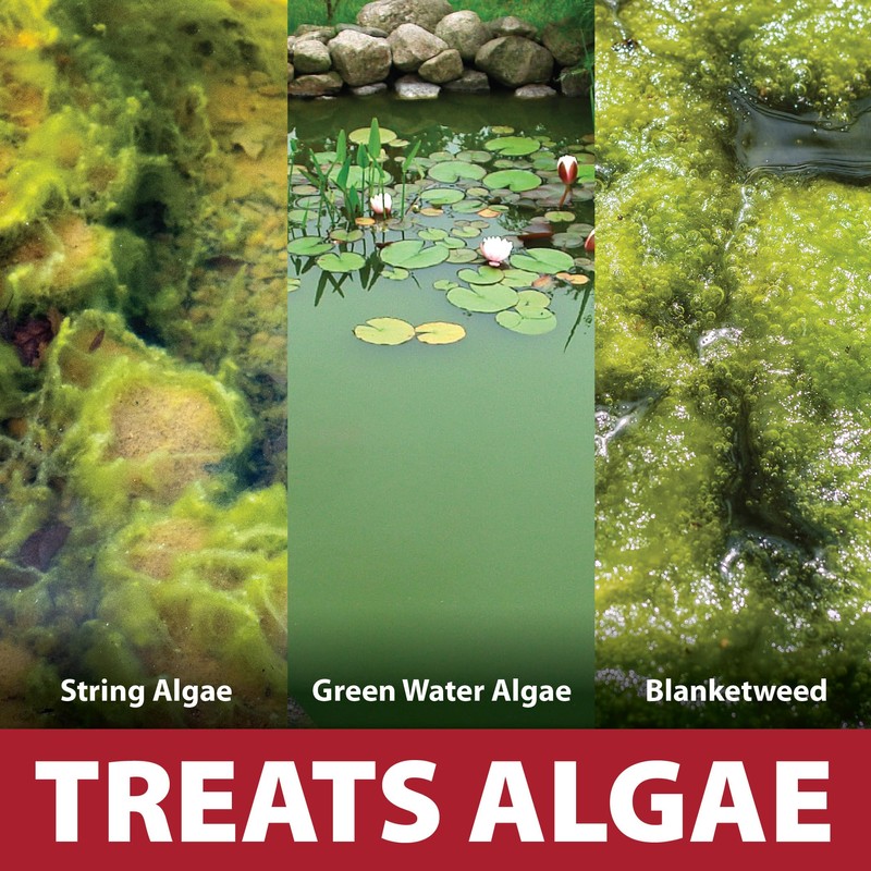 The Pond Guy InstaFix Algae Control, Outdoor Water Garden, Fountain