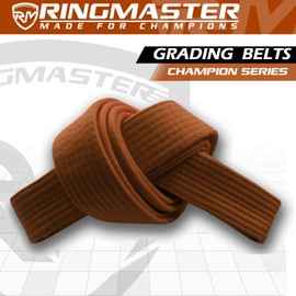 RingMaster Sports Grading Belts 9 Plain Colour for Karte Judo Taekwondo Martial Arts Training Competition | 230cm, 250cm, 280cm, 320cm (Brown, 280 cm)