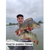 Mitchell MX3 Baitcasting Reel, Fishing Reel, Low Profile Baitcast Reels,