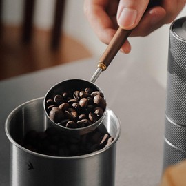 Gonzone Coffee Spoon - Vintage Walnut Wood Handle, Stainless Steel Coffee Scoop ，Stainless Steel Tea Scoopand Seasoning Spoons (1, Gunmetal, 5g Capacity)