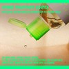 Chasing Rabbits Magic Beauty Shroom | Tremella híbrido 100% esencia