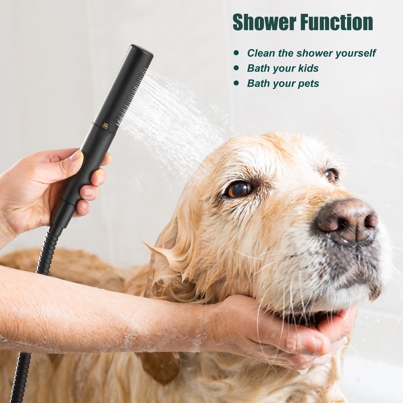 Heyalan Brass 2 in1 Function Handheld Spray Hand Shower High