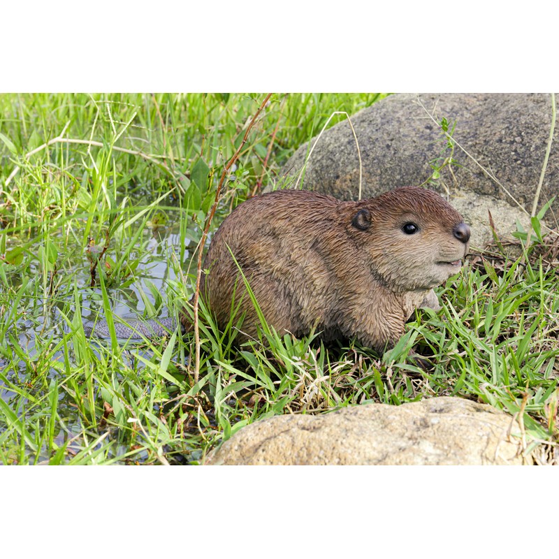 Hi-Line Gift American Beaver CUB Statue, Brown