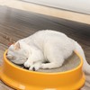 Cat Scratcher Bed with Replaceable Scratching Board Large Round Shape