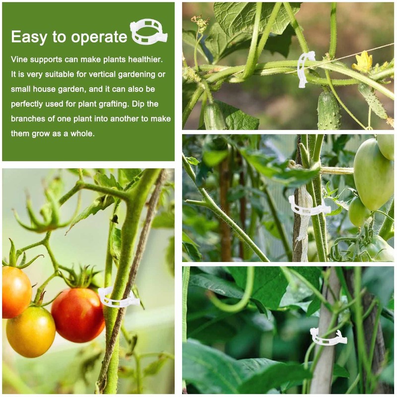 Tomato hooks, 12 pieces tomato hooks with tomato clip, tomato