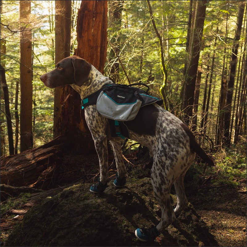 ZippyPaws Adventure Backpack for Dogs Forest Green (XLarge)