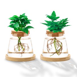 2 Pcs Plants Propagation Station,Separated Desktop Glass Planter Station Hydroponics Plant Terrarium with Wooden Tray and Lid Glass Vase Propagating Jars Gifts for Women Mom Plant Lovers