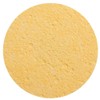ForPro Compressed Cellulose Sponge - Round Face and Body Sponge