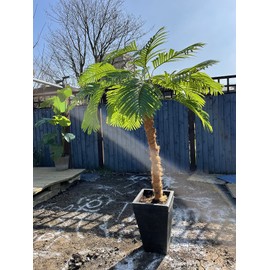 Large Artificial Palm Leaves Palm Fronds Tropical Leaves Areca Palm Branches Palm Leaves with Stem Palm Tree Leaves Faux Palm Leaves for Floral Arrangement Fake Leaves Palm Sunday Decor-Large Leaf