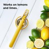 Chef'n FreshForce Lemon Squeezer Citrus Juicer, Manual Hand Press with