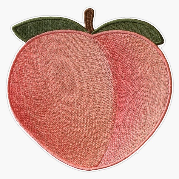 EB Store Peach Vinyl Waterproof Sticker Decal Car Laptop Wall