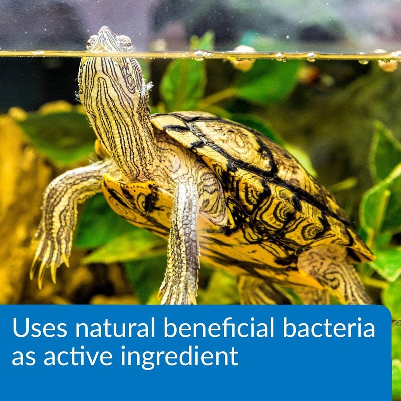 API TURTLE SLUDGE DESTROYER Aquarium Cleaner and Sludge Remover Treatment