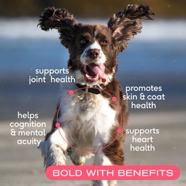 Native Pet Salmon Oil for Dogs & Cats – Pure Omega-3 Fish Oil Supplement for Skin, Coat, Joint & Heart Health – Anti-Inflammatory, 100% Wild-Caught Alaskan Sockeye Salmon – 8 oz