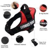 Dog Harness with Velcro Fastening, Anti-Pull Breathable Chest Harness, No-Pull