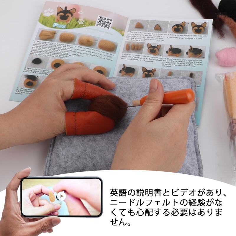 Wool Felt Kit, 12 Pieces, Needle Felt for Beginners, Instructions