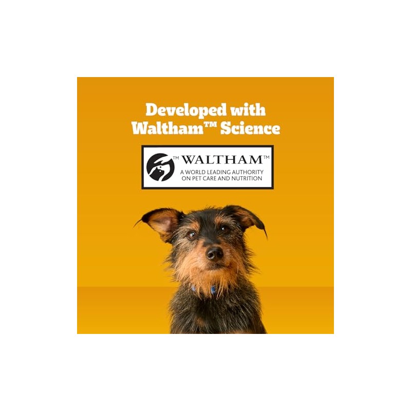 Pedigree DENTASTIX Beef Flavor Large Treats for Dogs - Value