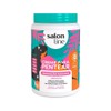 Salon Line - Linha Creme para Pentear - Definicao Maxima