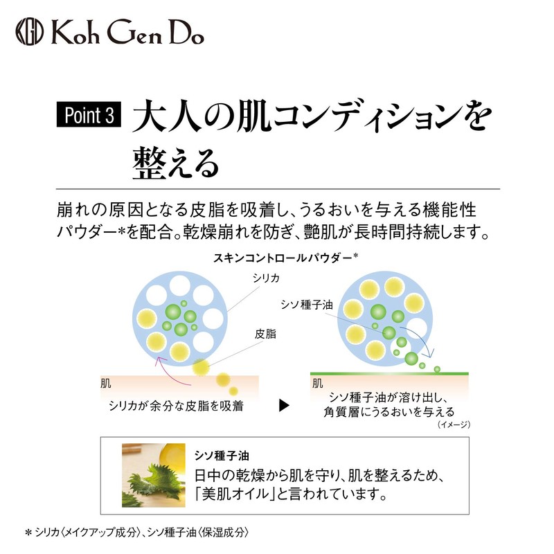 Koh Gen Do Gangwon-do My Fansui Moisture Foundation N 113