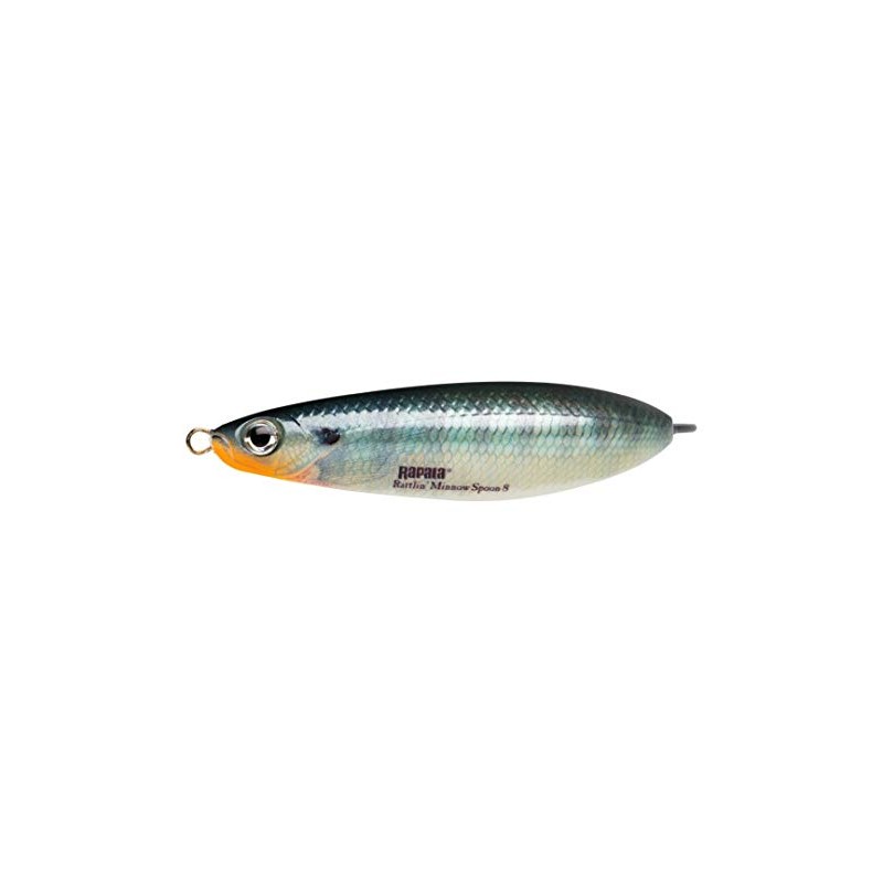Rapala BG RMSR8-BG Spoon, Ratrin, Minor Spoon, 3.1 inches (8