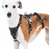 Huntboo Escape Proof Dog Harness – No Pull, No Slip,