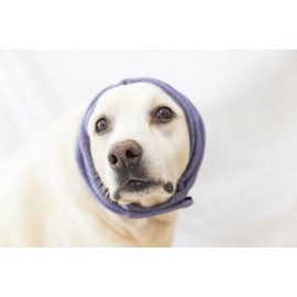 DDFS Dog Hematoma Ear Wrap,Keep Calm Comfort Anti Anxiety Relief Grooming Blow Drying Noise Cancelling Snoods for Dogs Purple L