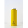 REVOMAX Carbonated Vacuum Insulated Bottle, No Cap, 20 oz (592