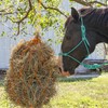 Majestic Ally 1/4" Rope 4 Knot Stiff Polyester Training Halter