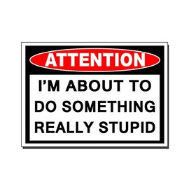 About to Do Something Stupid Vinyl Decal Sticker