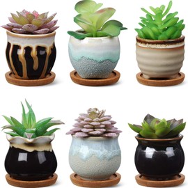 BBTO 6 Set Mini Succulent Pots Bulk with Drainage and Bamboo Tray 2.9 x 3.1 Inch Small Cute Ceramic Succulent Planter Pot Garden Glaze Container Ideal Present for Cactus Office Home Decoration Gift