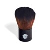 Lily Lolo Baby Buki Brush