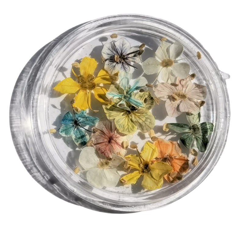 Set of 48 Handmade Mini Pressed Flowers, Dried Flowers, Small,