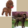 Atomic Building Poodle Dog or Poodle Figure to Build with