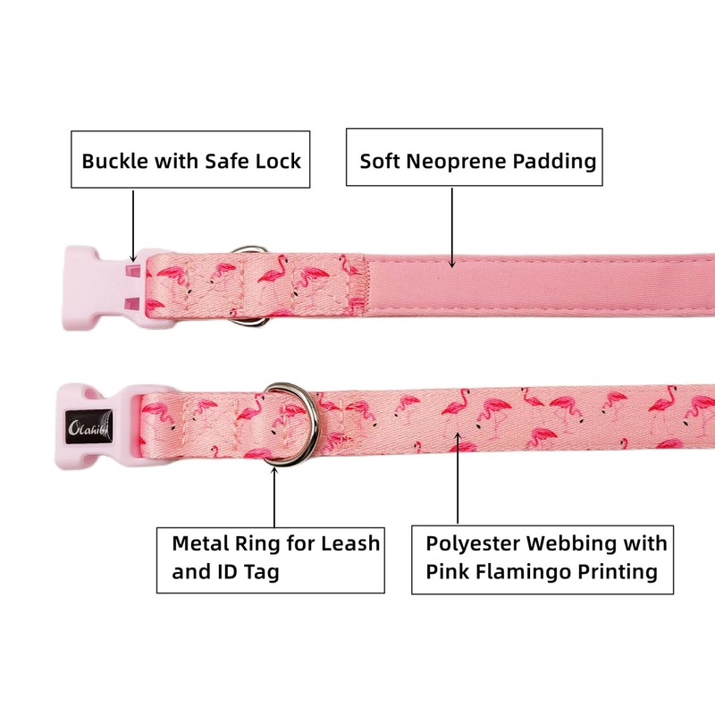 Olahibi Basic Dog Collar, Polyester Webbing Padded with Soft Neoprene,