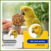 Abizoo Natural Pinecone Chew Toys with Edible Sunflower & Veggies