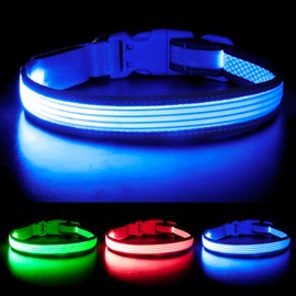 YFbrite Full Adjustbale LED Dog Collar, Full Illuminated Light up Dog Collars, Reflective Dog Collar Light Glowing in The Dark for All Dogs Safety (Large, Blue-2)