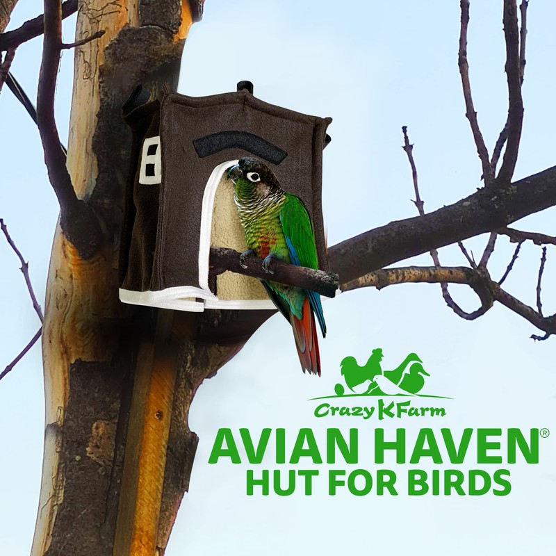 Crazy K Farm - Avian Haven Bird Hut, Comfy Bird