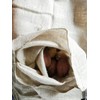 Seedzbox Hessian Potato Sacks For Storage Container - Pack of
