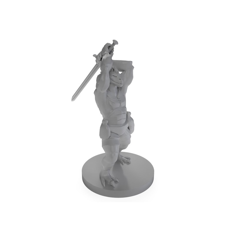 Dragonborn Barbarian with Sword Tabletop DND Gaming Miniature
