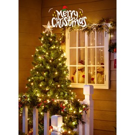 LED Christmas Mini Lights, 2 Pack 39 Feet 100 LED Clear Bulbs String Lights with 8 Light Modes, Connectable Fairy Lights Plug in for Outdoor Xmas Trees Garland Wreath Holiday Decorations, Warm White