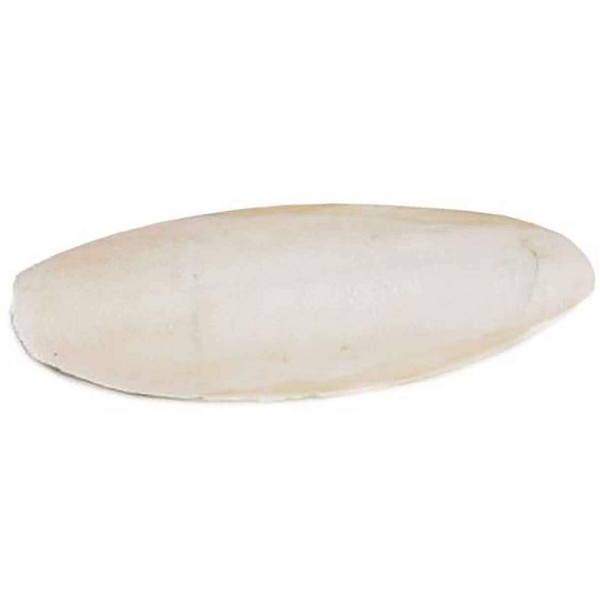 Cuttlebones Large, 25-pk