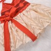 Sejardin Baby Girl Moana Fancy Dress Romper Sister Matching Ruffle
