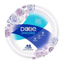 Dixie 48pk 8 1/2 in plates (pack of 2)