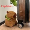 Suweiyuanshiyi Capybara Gifts, Cute Products, with Turtle Backpack, Can Be