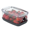 ProKeeper+ by Progressive Stackable Produce ProKeeper Storage Container with Stay-Fresh