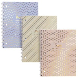 Pukka Pad, Haze Single Subject Spiral Bound Notebooks with 100 Pages of 3 Hole-Punched 80GSM Lined Paper with Perforated Edges – 10.5 x 8in – 3-Pack