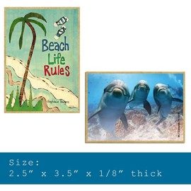 SJT ENTERPRISES, INC. It's Never Too Late to Get Your Together - 2.5 by 3 inch Inspirational Quotable Fridge Magnet for Adults (SJT00285)