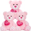 BENINY 3Pcs Valentines Bulk Teddy Bear with Heart, Cute Pink